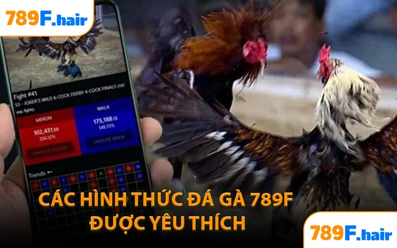 Các hình thức đá gà 789F được yêu thích