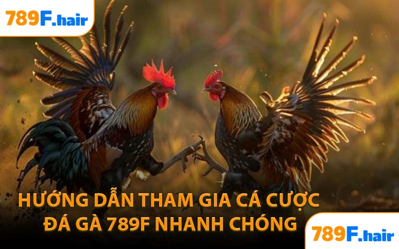 Hướng dẫn tham gia cá cược đá gà 789F nhanh chóng