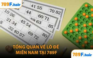 Tổng Quan Về Lô Đề Miền Nam Tại 789F