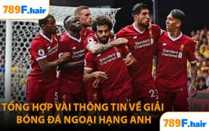 Tổng Hợp Vài Thông Tin Về Giải Bóng Đá Ngoại Hạng Anh