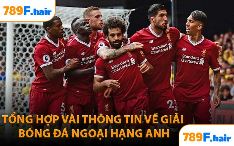 Tổng Hợp Vài Thông Tin Về Giải Bóng Đá Ngoại Hạng Anh