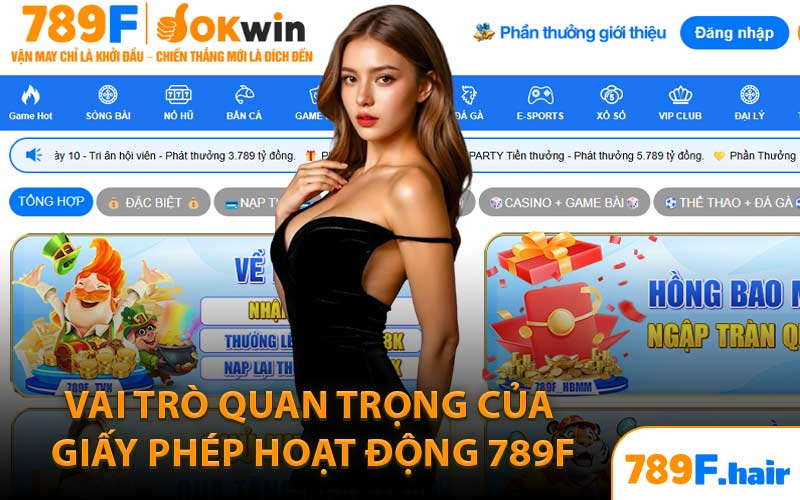 Vai Trò Quan Trọng Của Giấy Phép Hoạt Động 789F